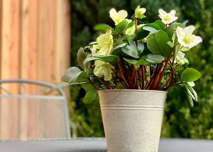 Gemuetliche Ferienwohnung In Uelzen Mit Eigenem Garten